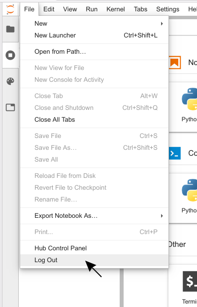 JupyterLab logout