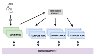 Diagram with boxes and arrows. Boxes represent one job scheduler (top), login nodes (left), compute nodes (right), one filesystem (bottom). Boxes are connected with arrows top to bottom. Users are depicted with an icon connected to login nodes with an arrow.